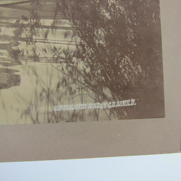 1893 Chicago Worlds Fair Columbian Expo Cabinet Photo Japanese Boat Arnold RARE - Picture 5 of 14